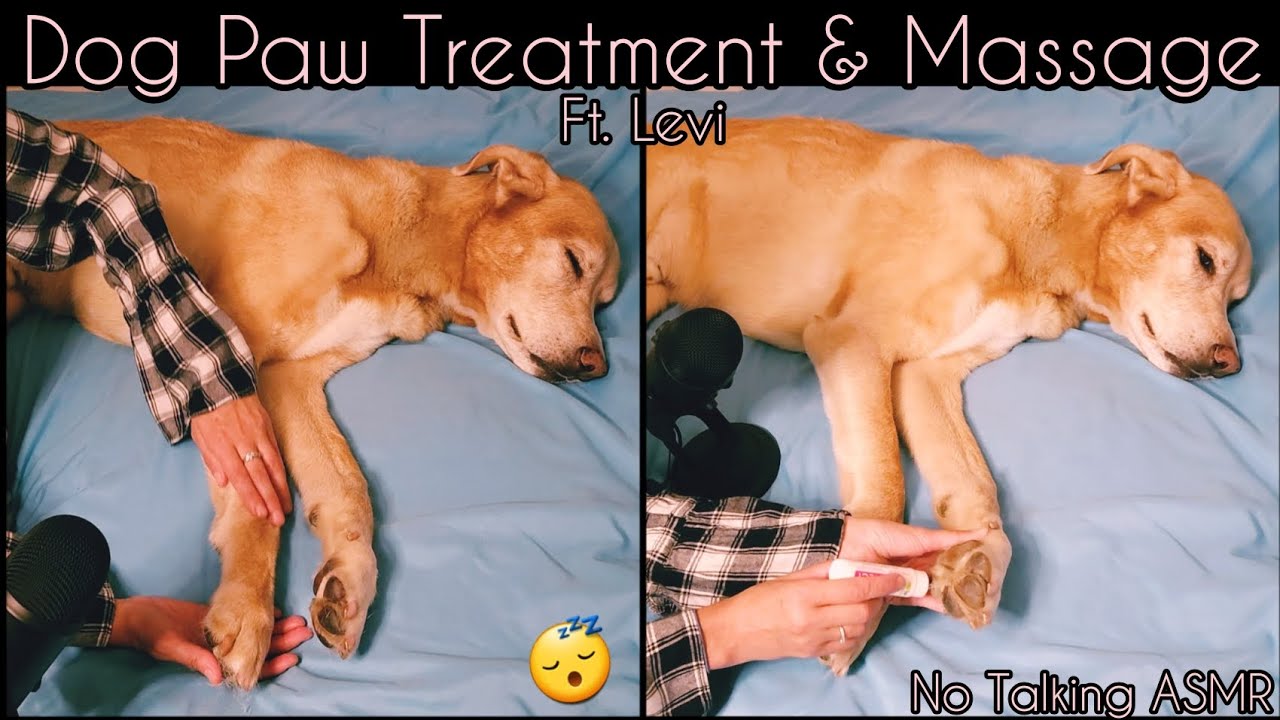 #ASMR | Dog Paw Treatment Ft. Levi | Wipe, Trim, Balm & Massage | NO TALKING | *Requested Video*