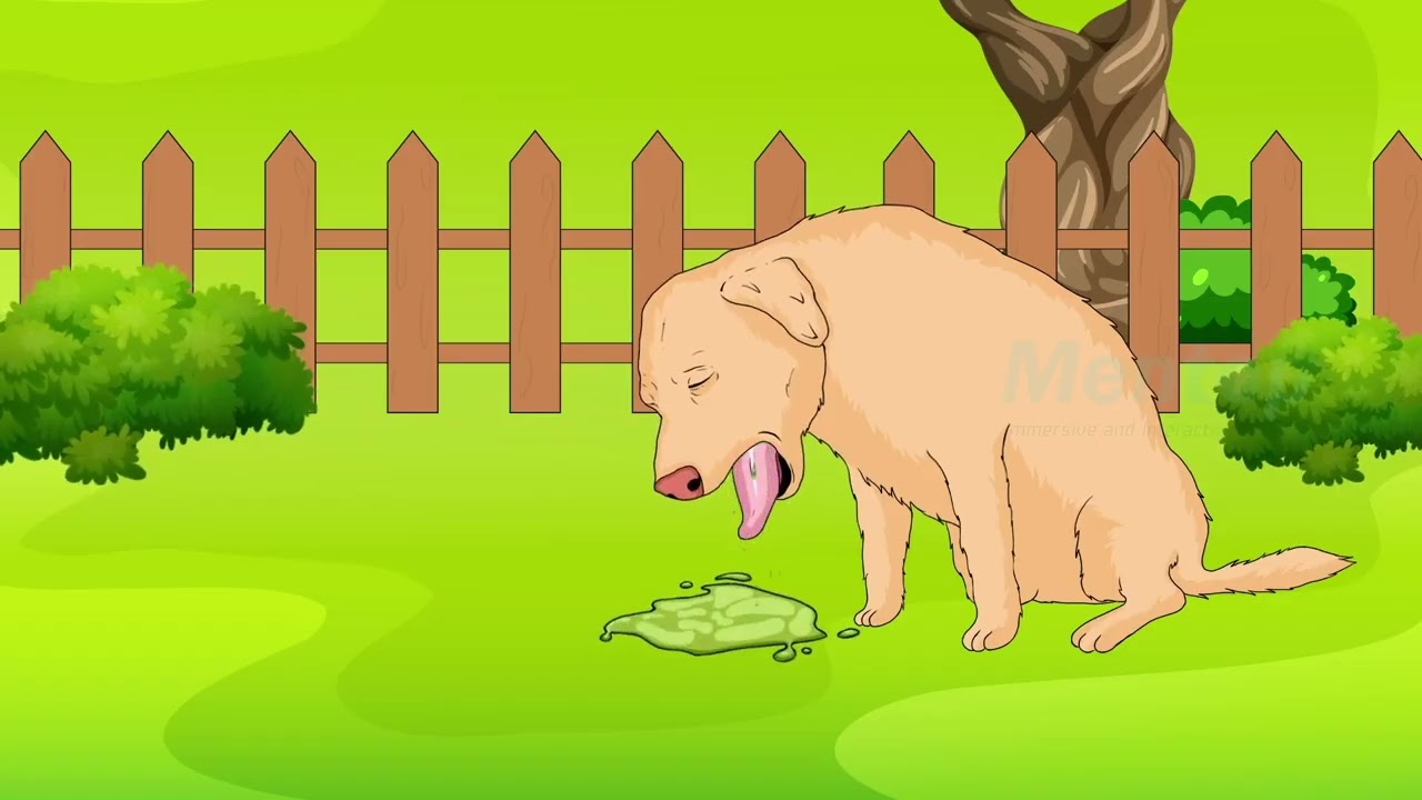 Dog Safety eLearning Content | Interactive Training for Pet Safety | 2D Video Based ELearning