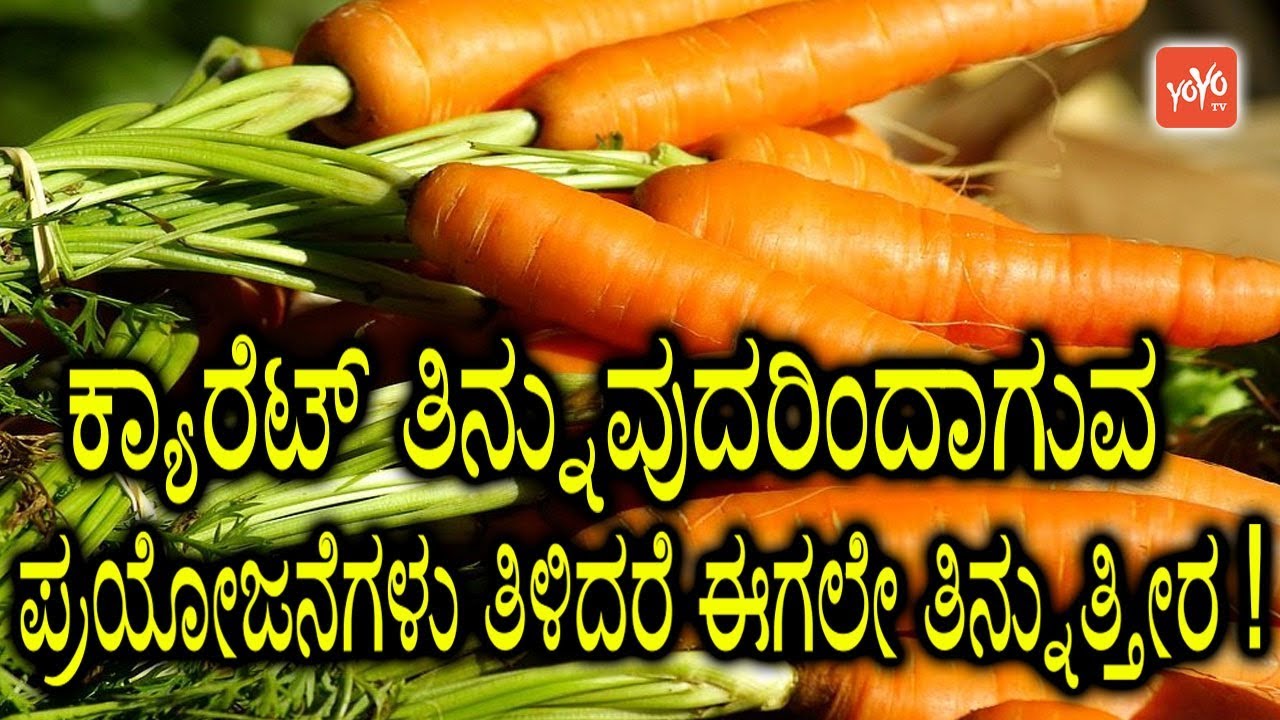 ಕ್ಯಾರೆಟ್ ತಿನ್ನುವುದರಿಂದಾಗುವ ಪ್ರಯೋಜನೆಗಳು ತಿಳಿದರೆ ಈಗಲೇ ತಿನ್ನುತ್ತೀರ ! | Carrot Benefits In Kannada