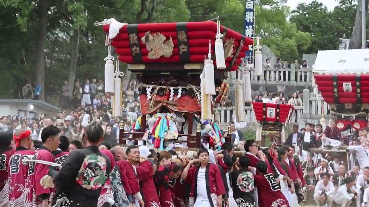 2025*10*12* 【本祭り】 役戸太鼓台