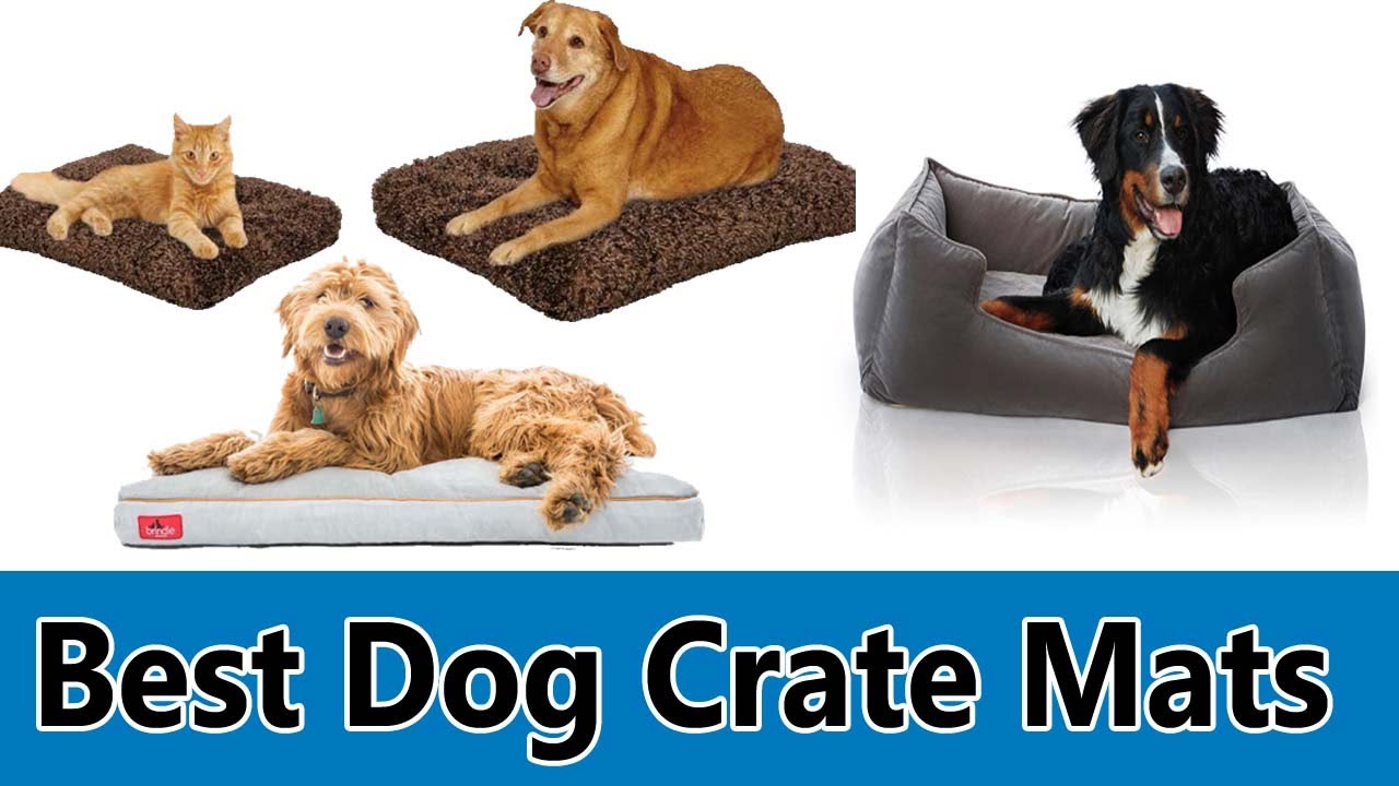 Best Dog Crate Mats - Top 5 Best Dog Crate Mats Review