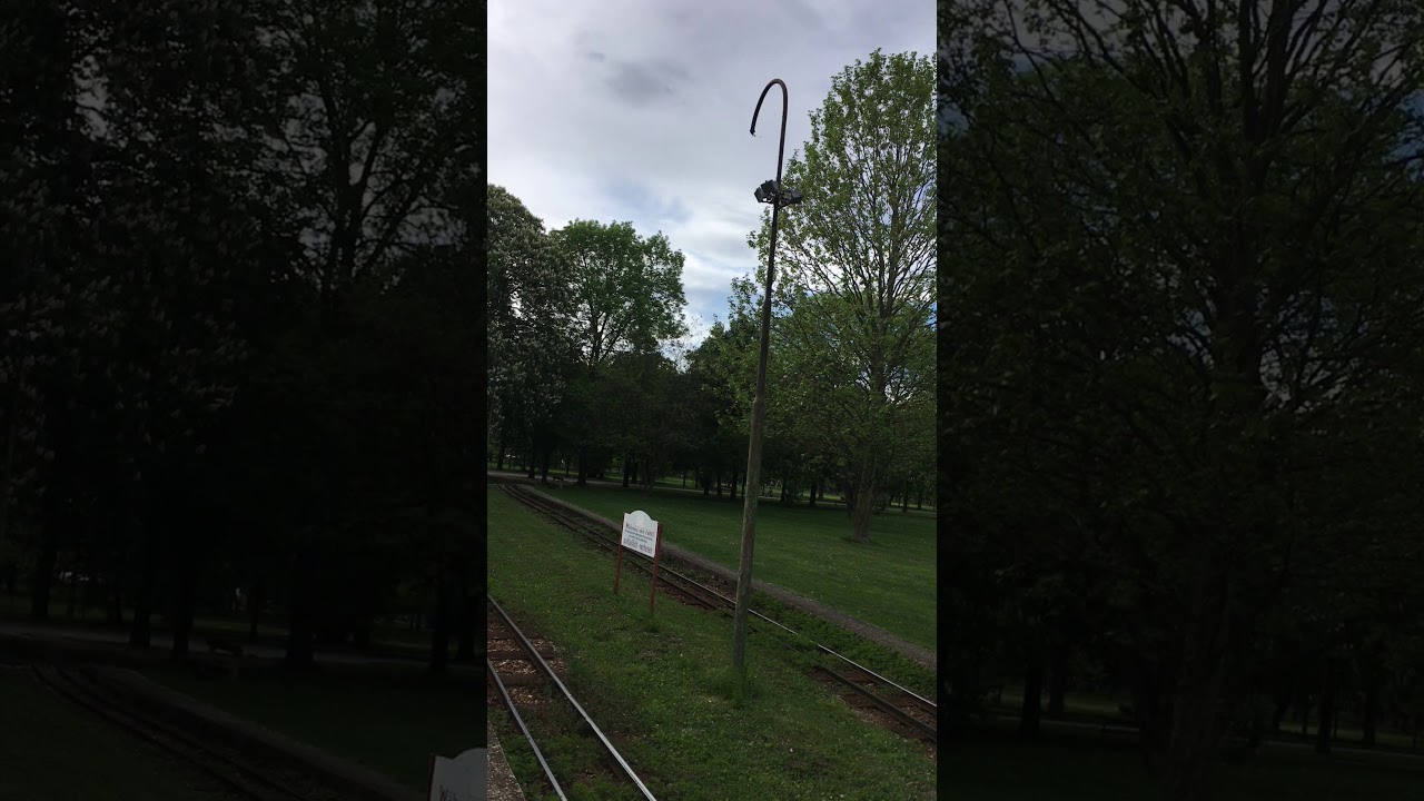 Liliputbahn D2 Einfahrt mit Bremssound