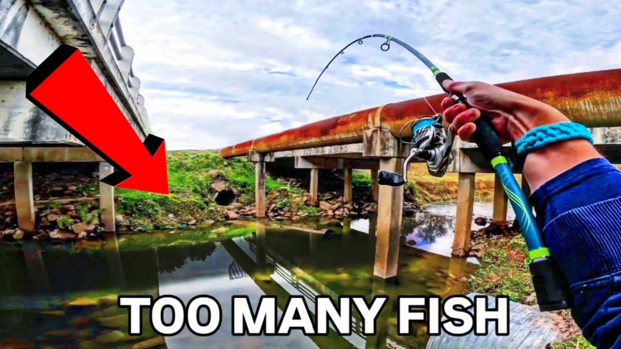 A Hole In the Middle of Houston with Too Many Fish In It!