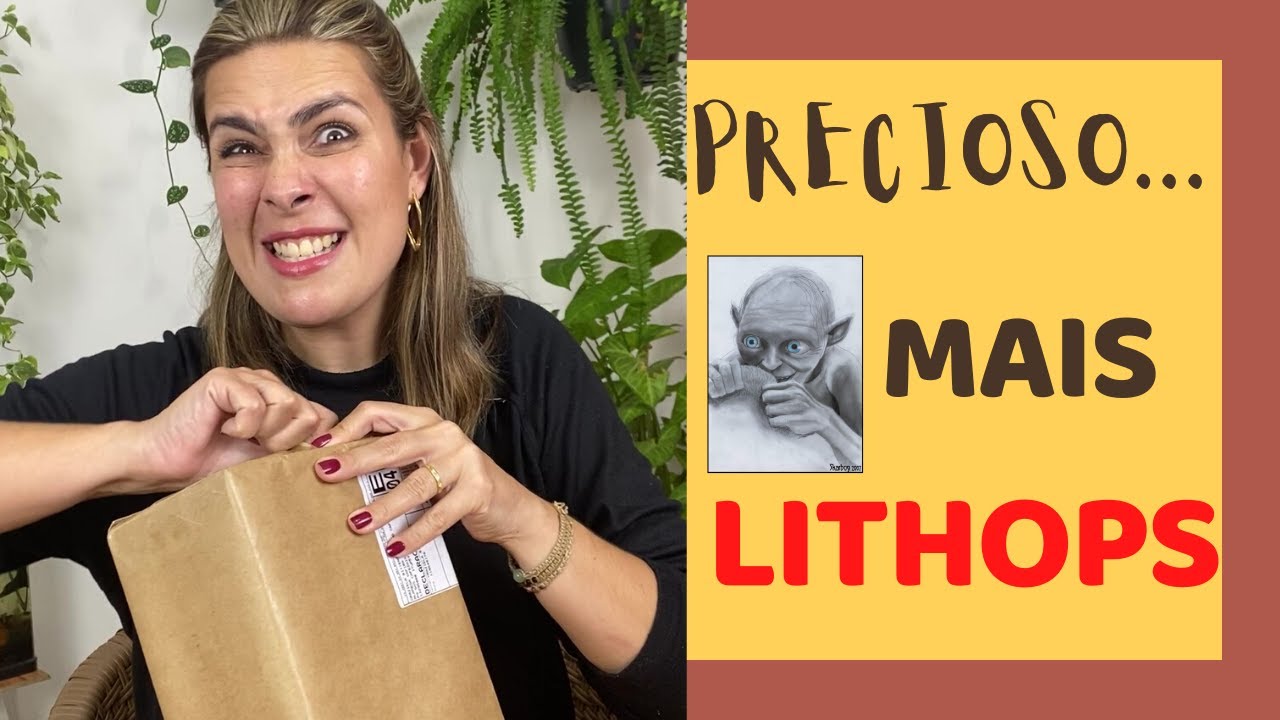 Novos LITHOPS: as PEDRAS VIVAS mais desejadas das SUCULENTAS /Grazi Bittencourt