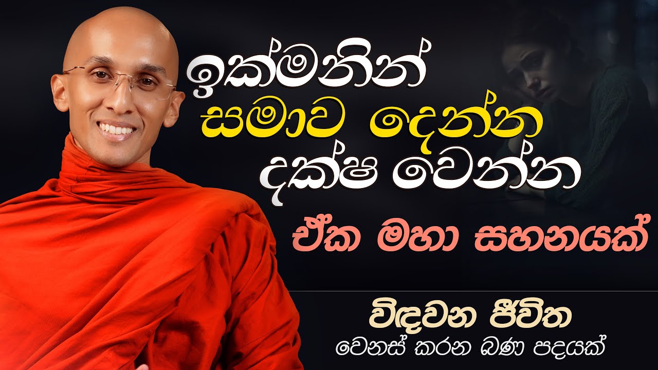 25. ඉක්මනින් සමාව දෙන්න දක්ෂ වෙන්න ඒක මහා සහනයක් | ජීවිතය වෙනස් කරන බණ පදයක් | 2024-11-29