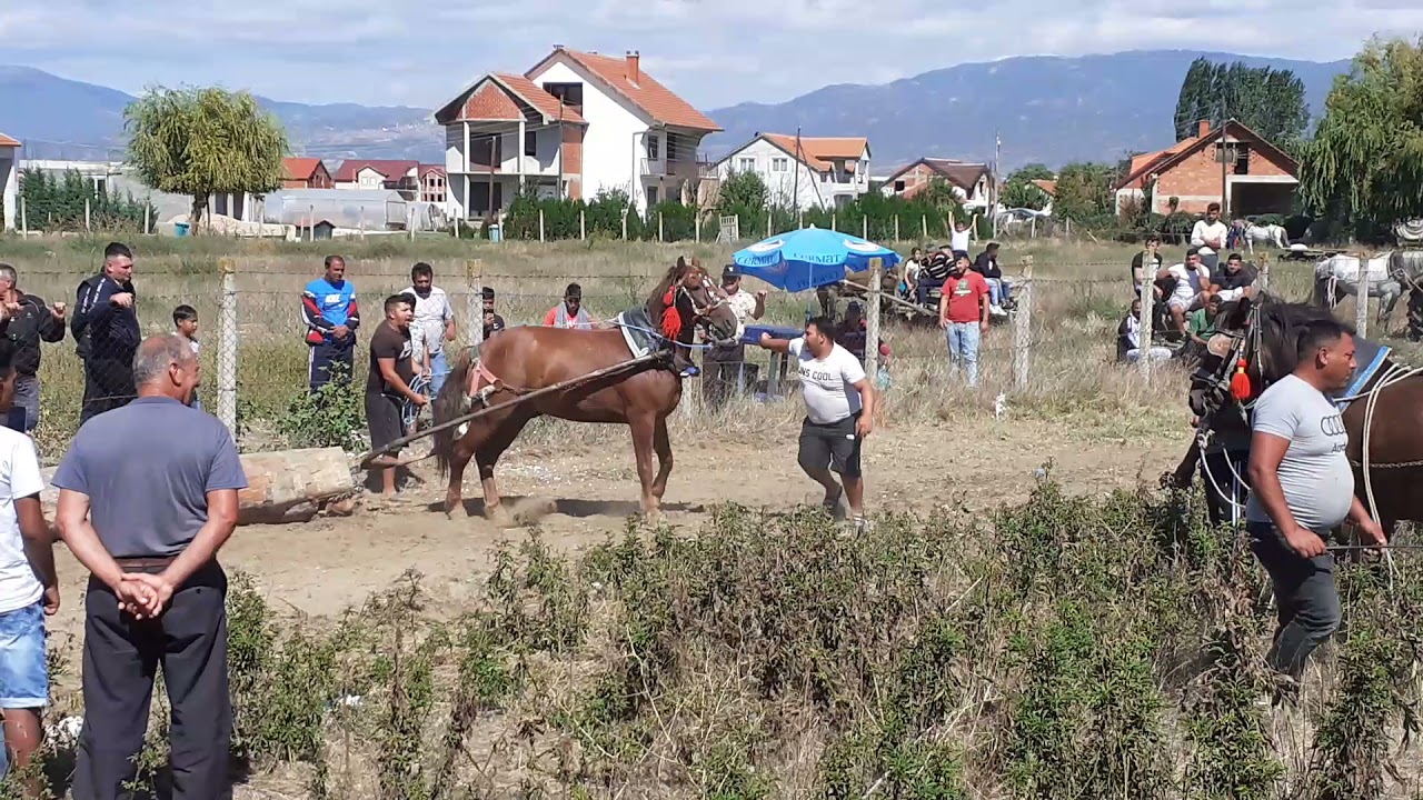 straparijada prosenikovo 21.09.2021
