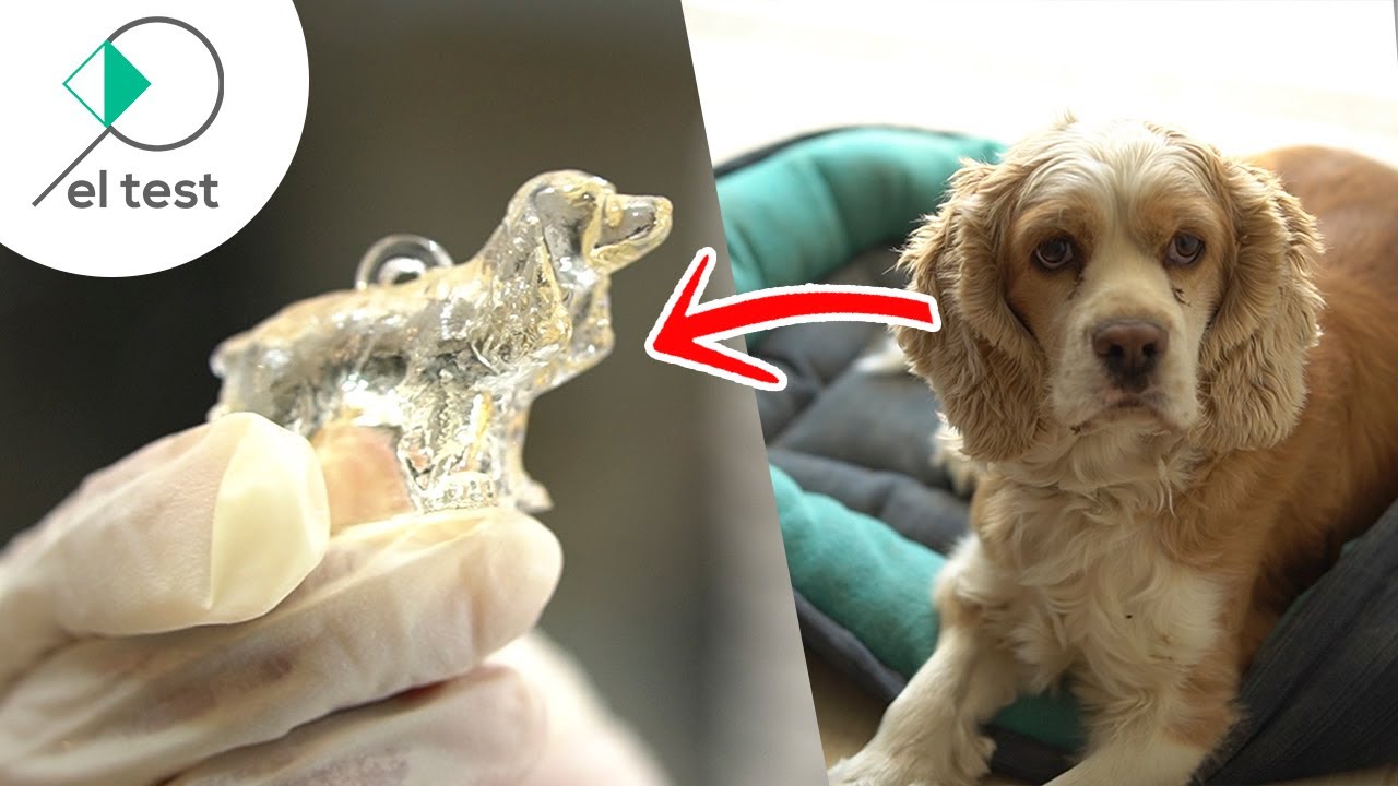 Imprimí a mi perro en 3D con Creality LD-002R | El test