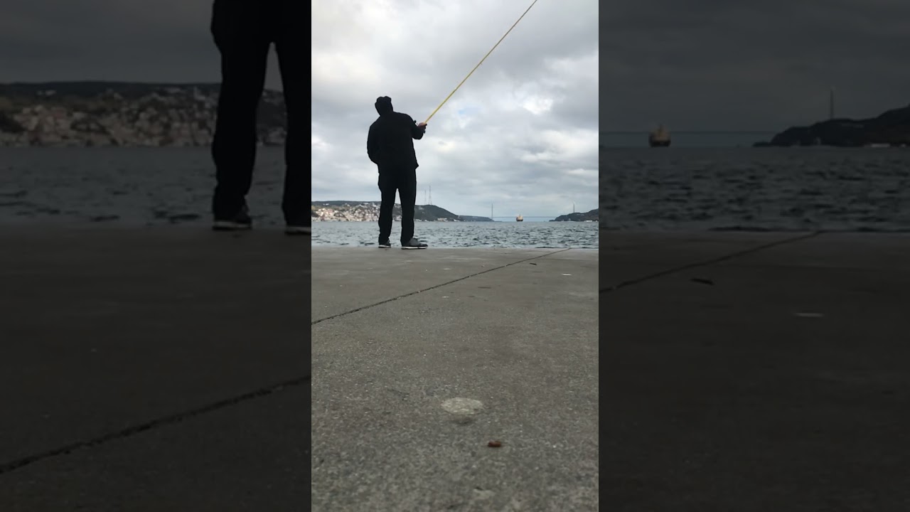 Surf casting for bonito fish.!#palamut #bonito #fishing #balık #bogazici #istanbulturkey #bosporus