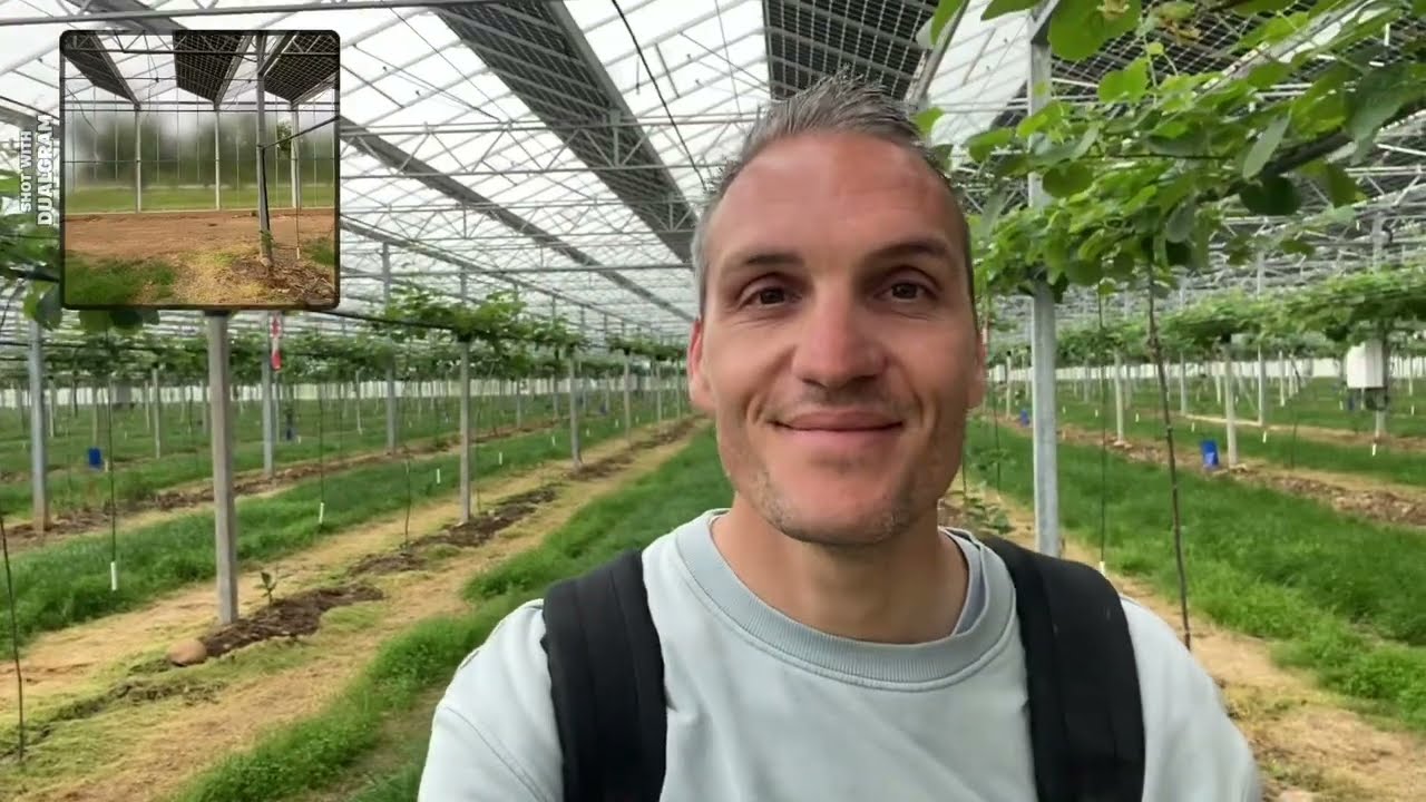 Pollinisation des Kiwis Rouges 🥝 🔴😁