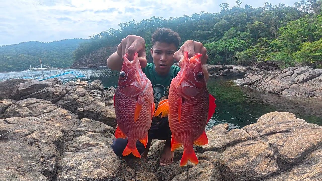 Hinuhulog Ko Lang Sa Mga Butas Ng bato ! Huli Ang Masarap Na Isda