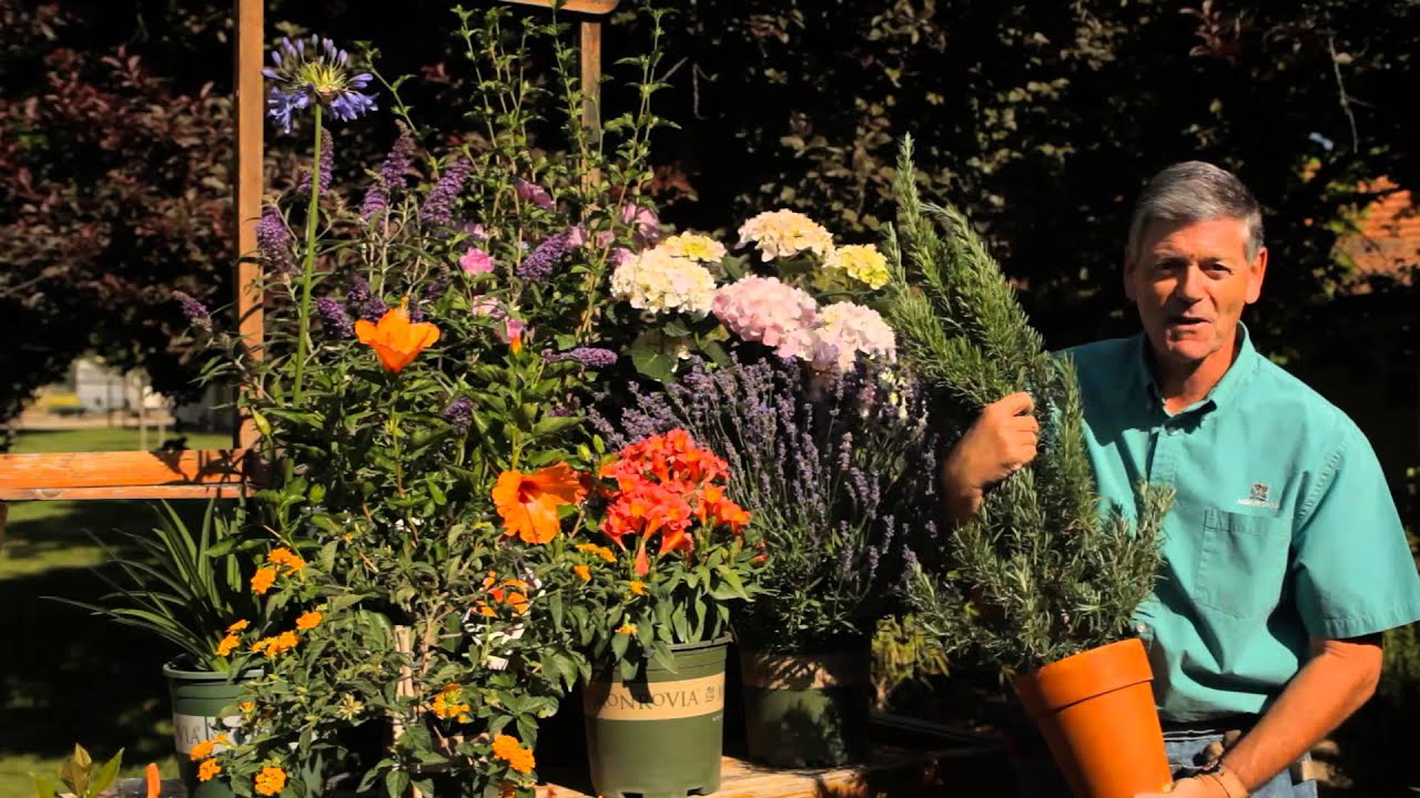 Garden Irrigation Tips : Garden Savvy
