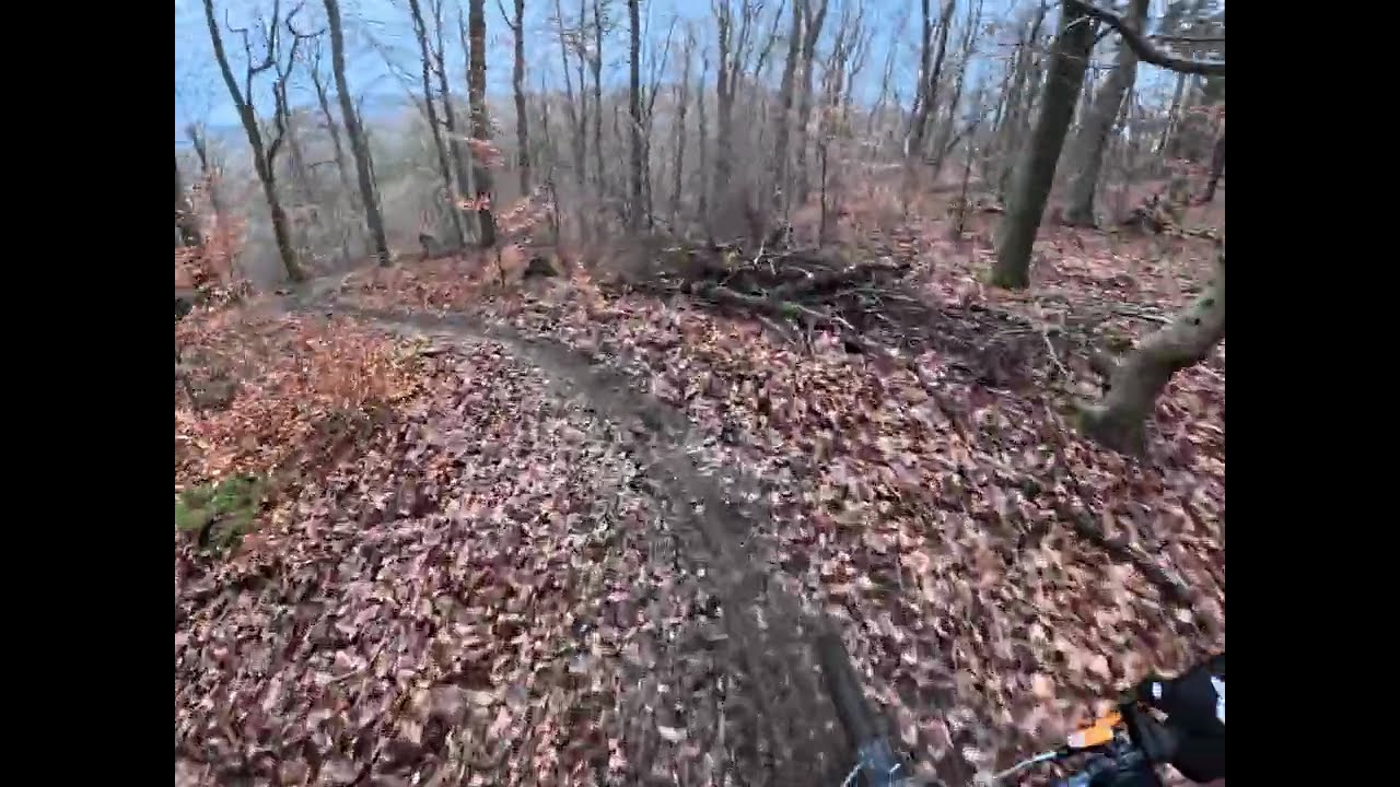 Trailview: Koblenz, Kühlkopf Trail (Komoot), Turm oben links (Trailforks), rechte Line