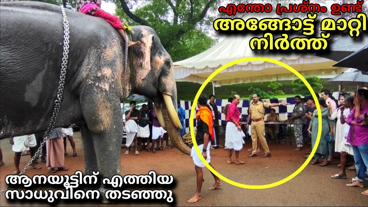 എന്തോ പ്രശ്നമുണ്ട് 😔! ആന ഊട്ടിനെത്തിയ സാധുവിനെ തടഞ്ഞു ! Puthuppally sadhu !vadakkumnathan aanayoottu