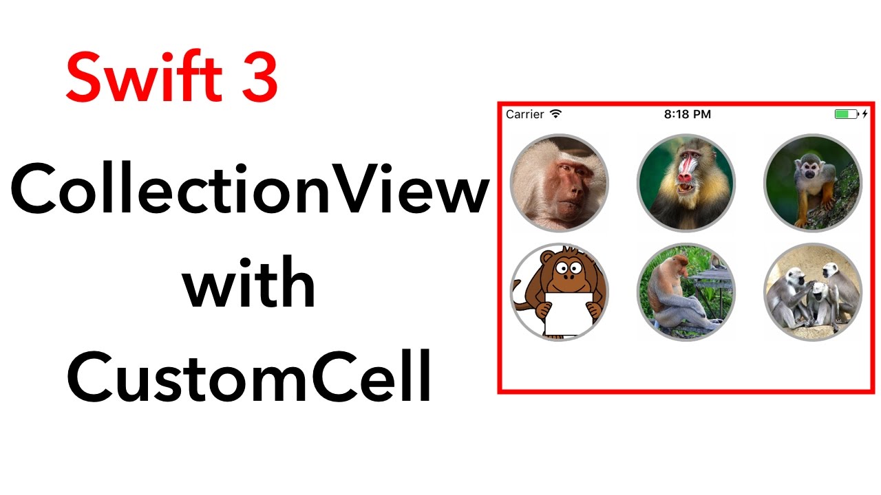 How to use collection view with custom cell (Swift 3 + Xcode 8.2.1)