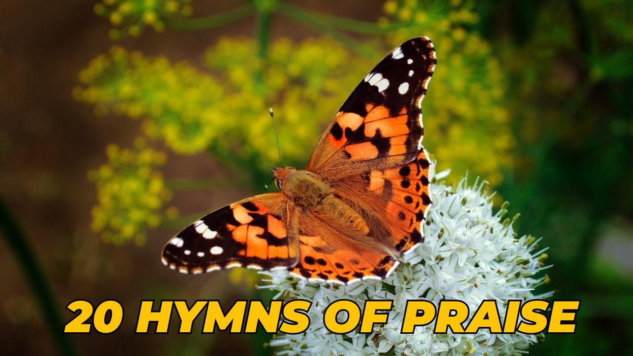 20 Hymns of Praise (With lyrics) - SATB
