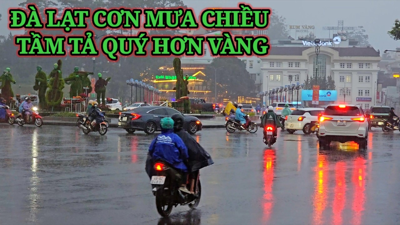 ĐÀ LẠT CHIỀU TRỜI ĐỔ MƯA TẦM TẢ QUÝ HƠN VÀNG
