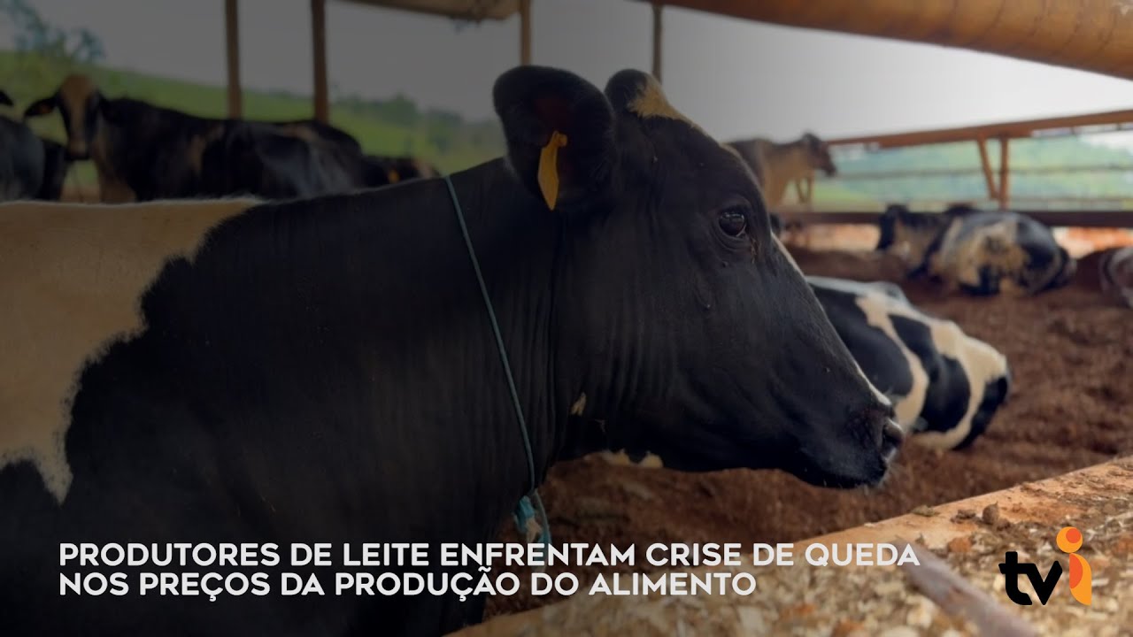 Produtores de leite enfrentam crise de queda nos preços da produção do alimento