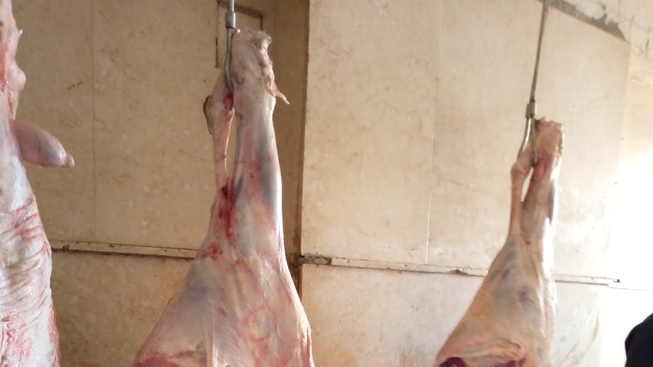 من أجود أنواع اللحوم الحمراء في العالم 🍒 عند ابو شوقي الجزار 🥩🔪🐮👈 لأيك واشتراك ❤ ليصلك كل جديد