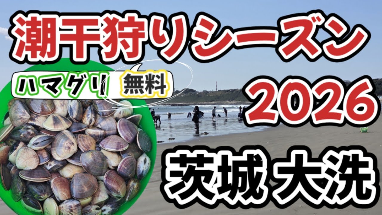 【大洗潮干狩り2026】無料潮干狩り　茨城県大洗サンビーチ海岸　#潮干狩り　#ハマグリ　#軽バン1人旅