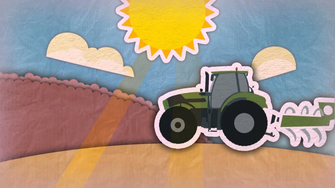 Jak produkowany jest chleb