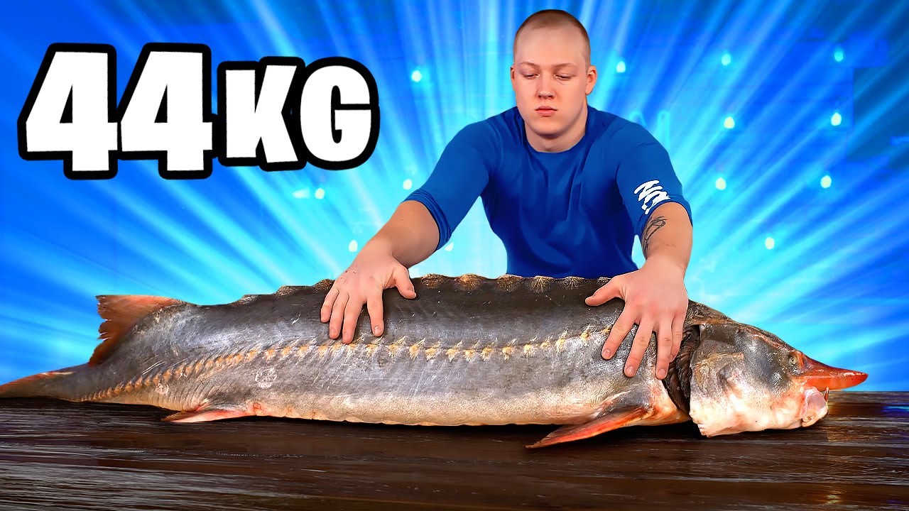 44 kg Ogromny Jesiotr Przepis | Wielki Jesiotr Gotowanie i Jedzenie VANZAI