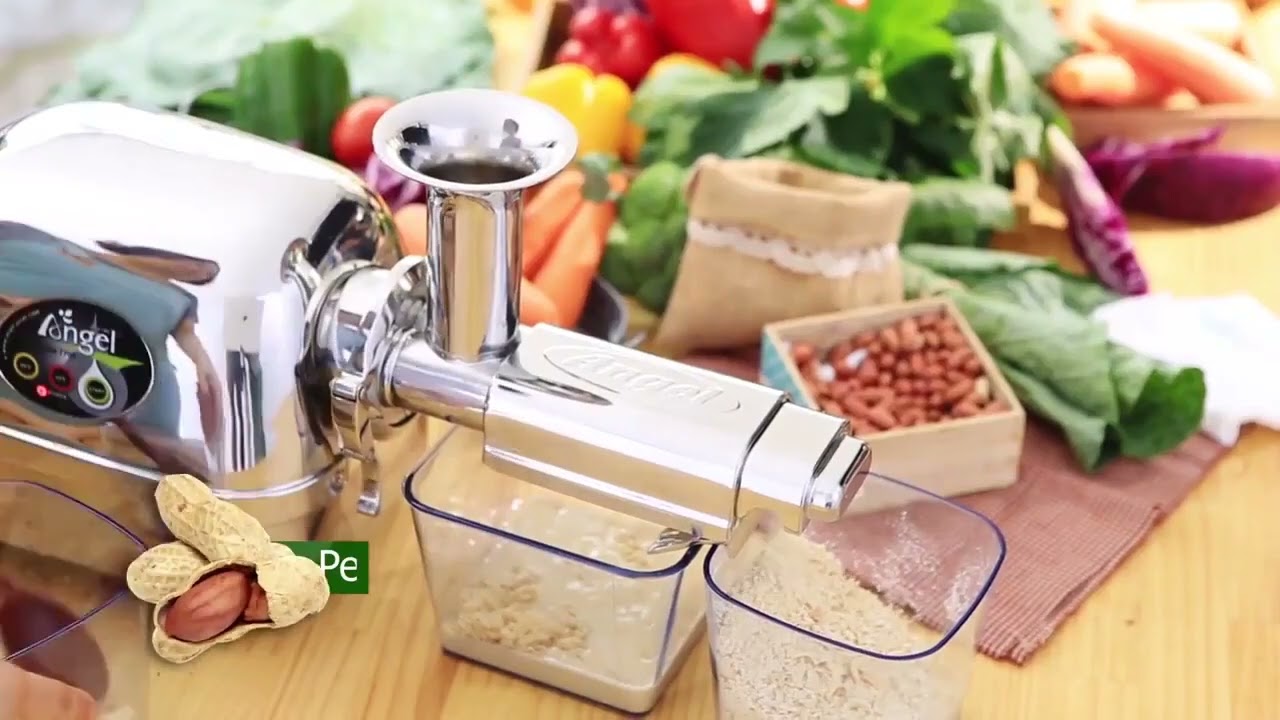 Extracteur de jus Sion Valais | Angel Juicer 5500