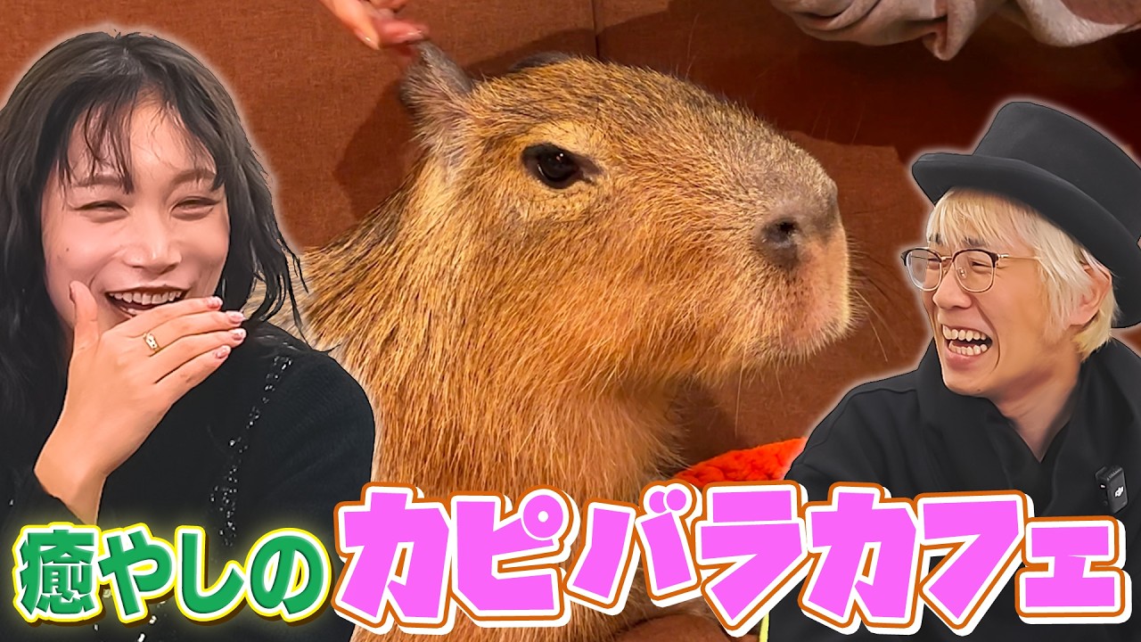 日本で人気のカピバラが中国に飛び火したワケとは？最前線カピバラカフェに“のんびり”潜入