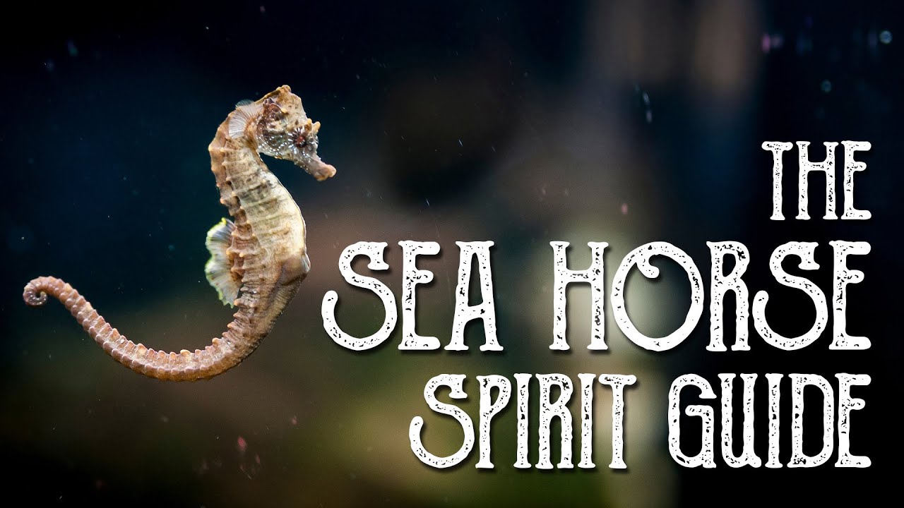 Seahorse Spirit Guide - Ask the Spirit Guides Oracle, Totem Animal, Power Animal, Magical Crafting
