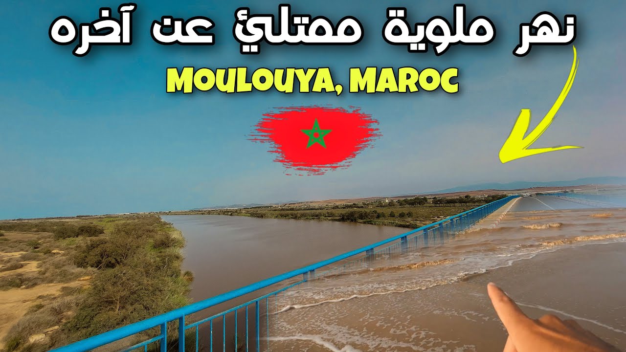 حمولة نهر ملوية الكبيرة.. شاهد لحظة دخولها إلى بحر السعيدية و تغيير لونه..!  Malouya, saidia Maroc