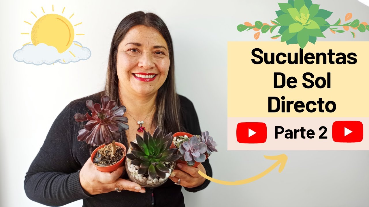 SUCULENTAS DE SOL DIRECTO (PARTE 2) | JARDÍN DE LA CHITA