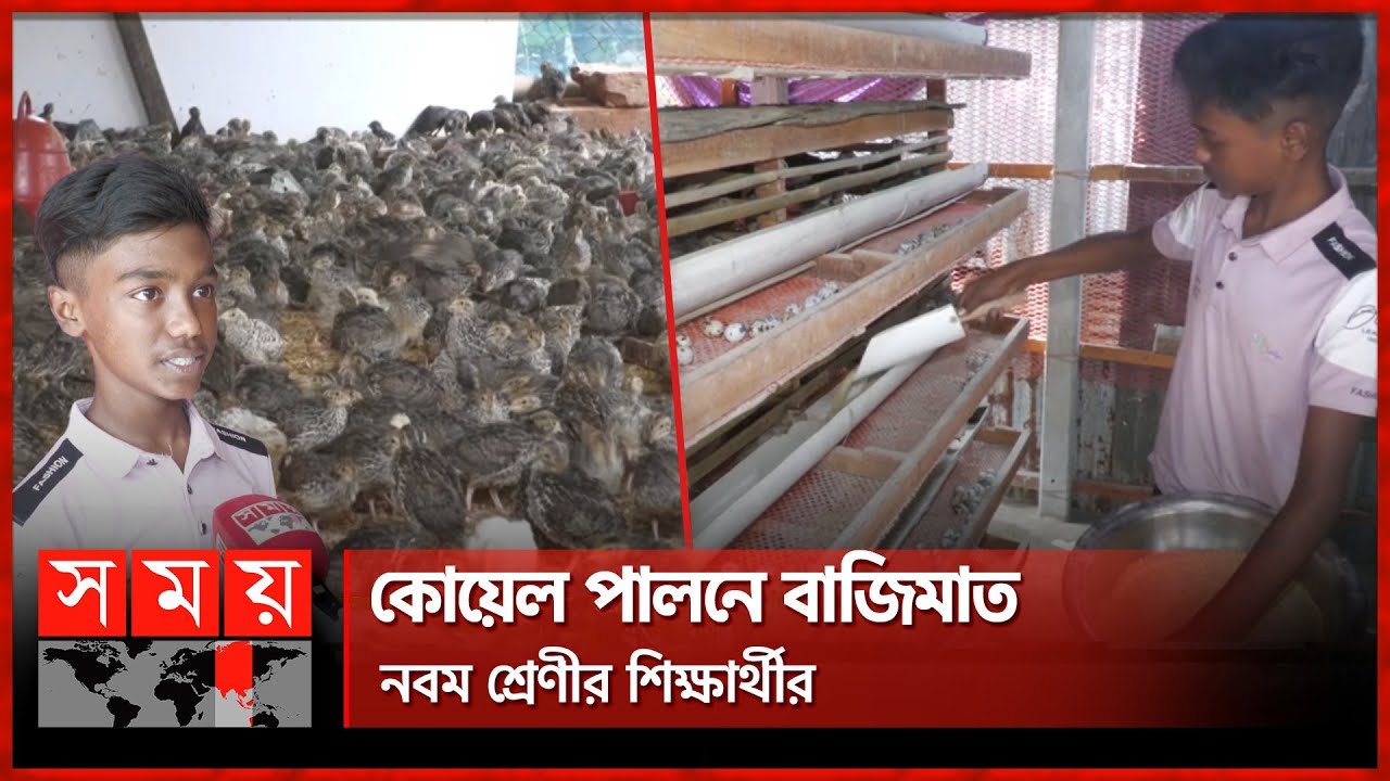 ইউটিউবে কোয়েল পালন শিখে মাসে আয় লাখ টাকা | Manikganj | Young Entrepreneur | Koel Bird | Somoy TV