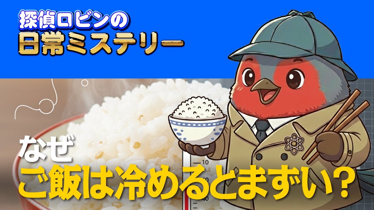 なぜご飯は冷めるとまずくなるのか？│デンプンの「老化現象」を追え！【中学生・小学生向け科学】