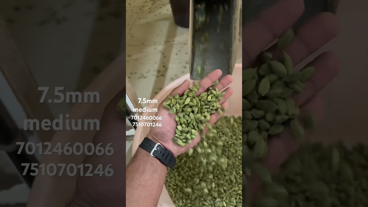 7.5mm medium quality cardamom 💢#cardamom #spices #kerala #mumbai #gujarat #shorts #job #wholesale
