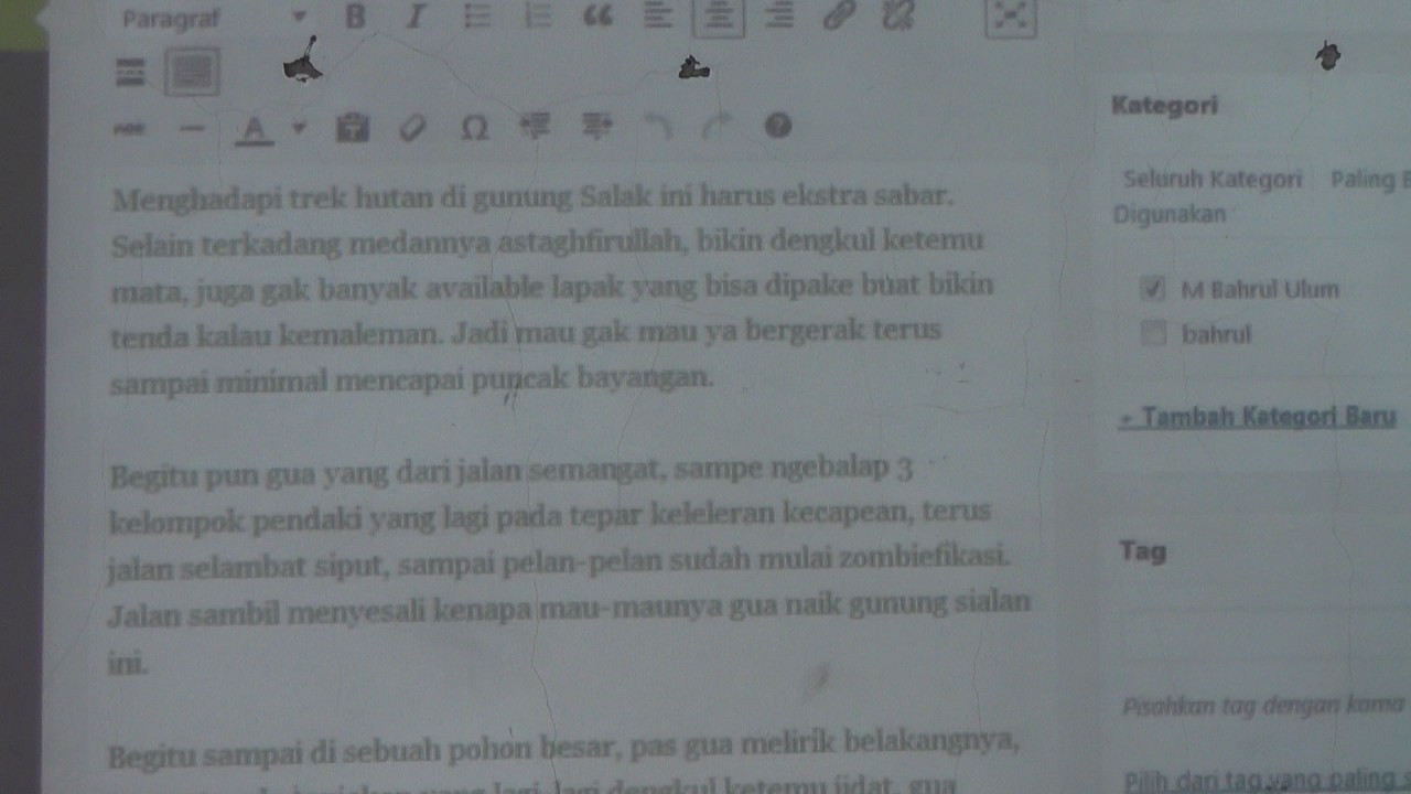 WPS (Word Press Sederhana)