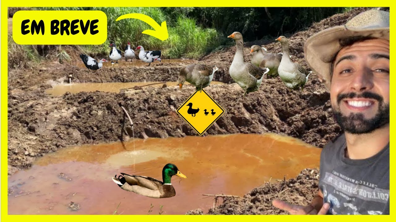Plantio de Grama na Chácara - Fizemos Novos Lagos na Chácara  | Gutejando