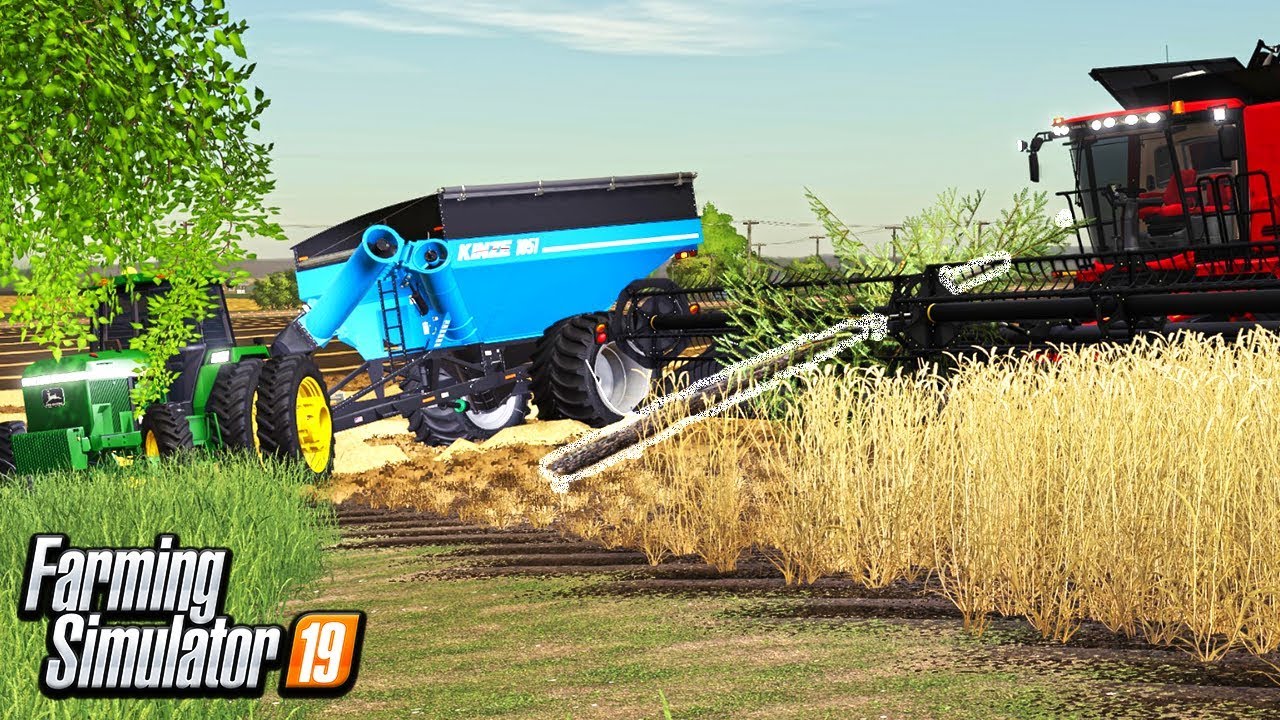 JAMMED A TREE IN OUR COMBINE REEL | HUGE EXPENSE! | FARMING SIMULATOR 19