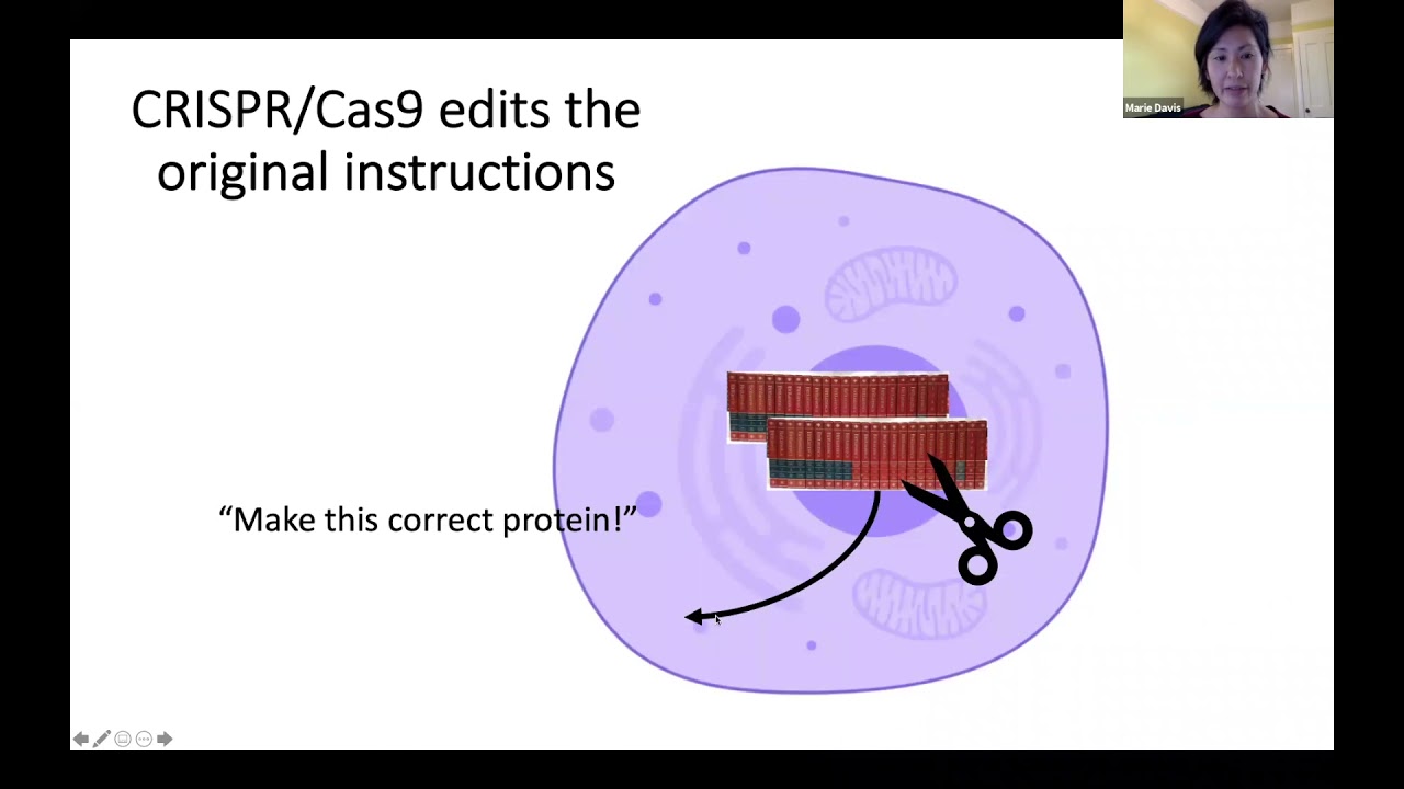 Gene Therapies for Ataxia 101