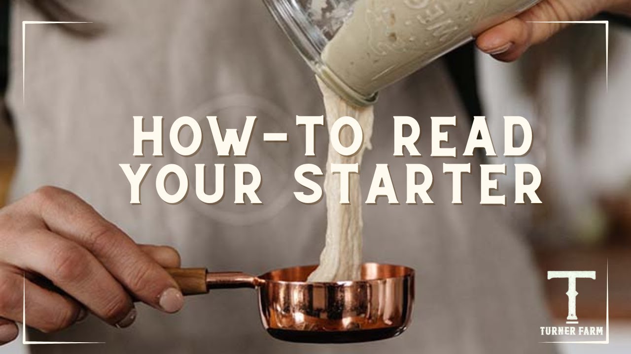 Is Your Sourdough Starter Ready? Here's How to Know. #sourdoughstarter #sourdoughdiscard