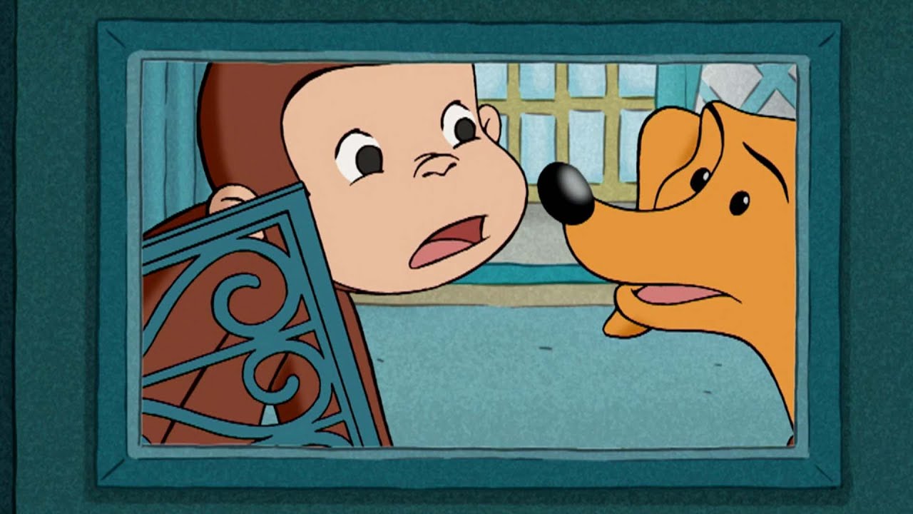 Un gattino a piede libero! 🐵 Curioso Come George 🐵 Cartoni per Bambini