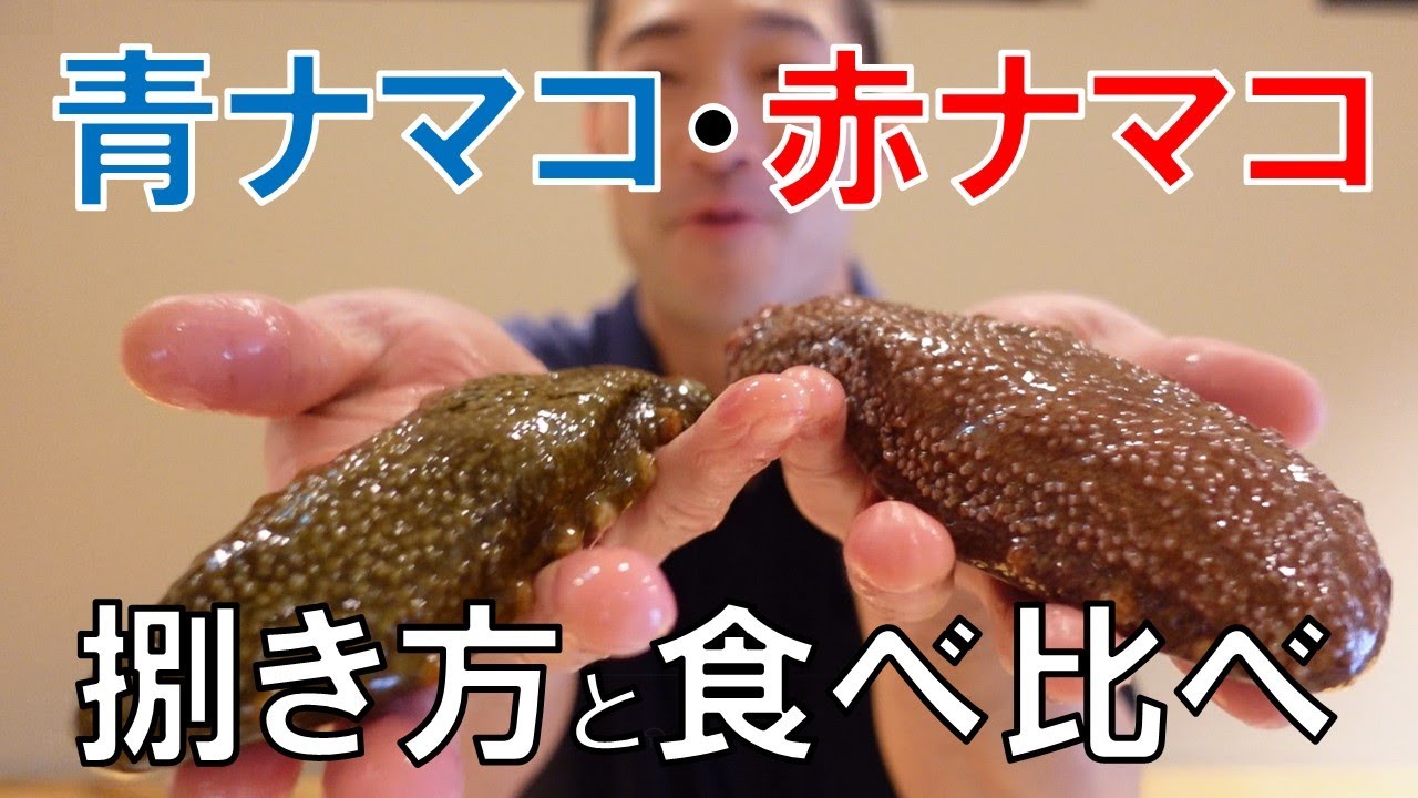 青ナマコ・赤ナマコ捌き方＆食べ比べ