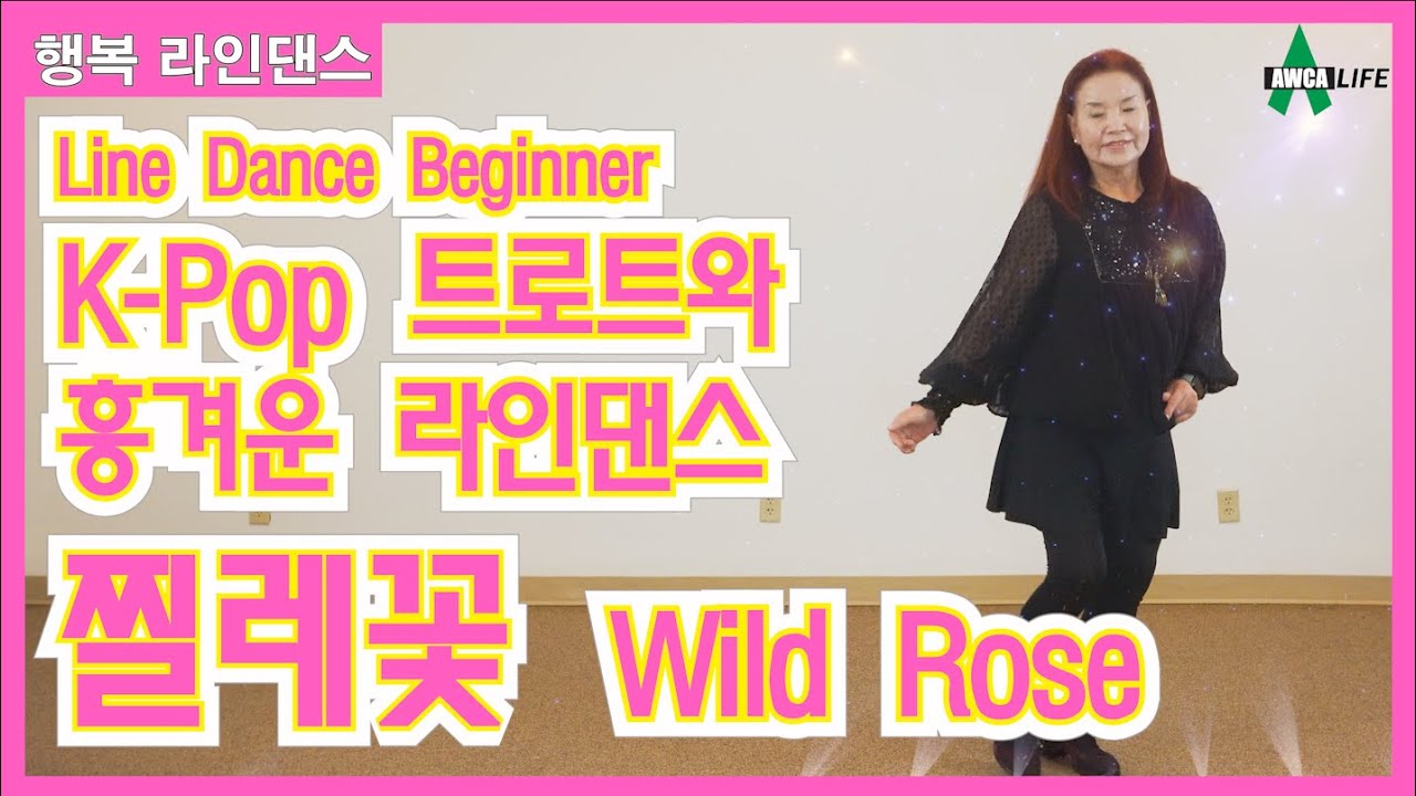찔레꽃 흥겨운 트로트와 라인댄스의 만남!! Line Dance ep48 Wild Rose