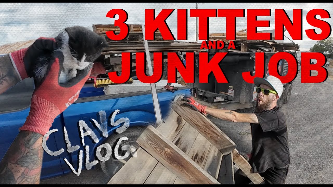 3 KITTENS AND A JUNK JOB - CLAYS VLOG 4
