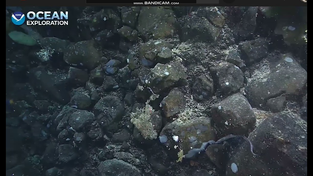 @Mid Atlantic Ridge