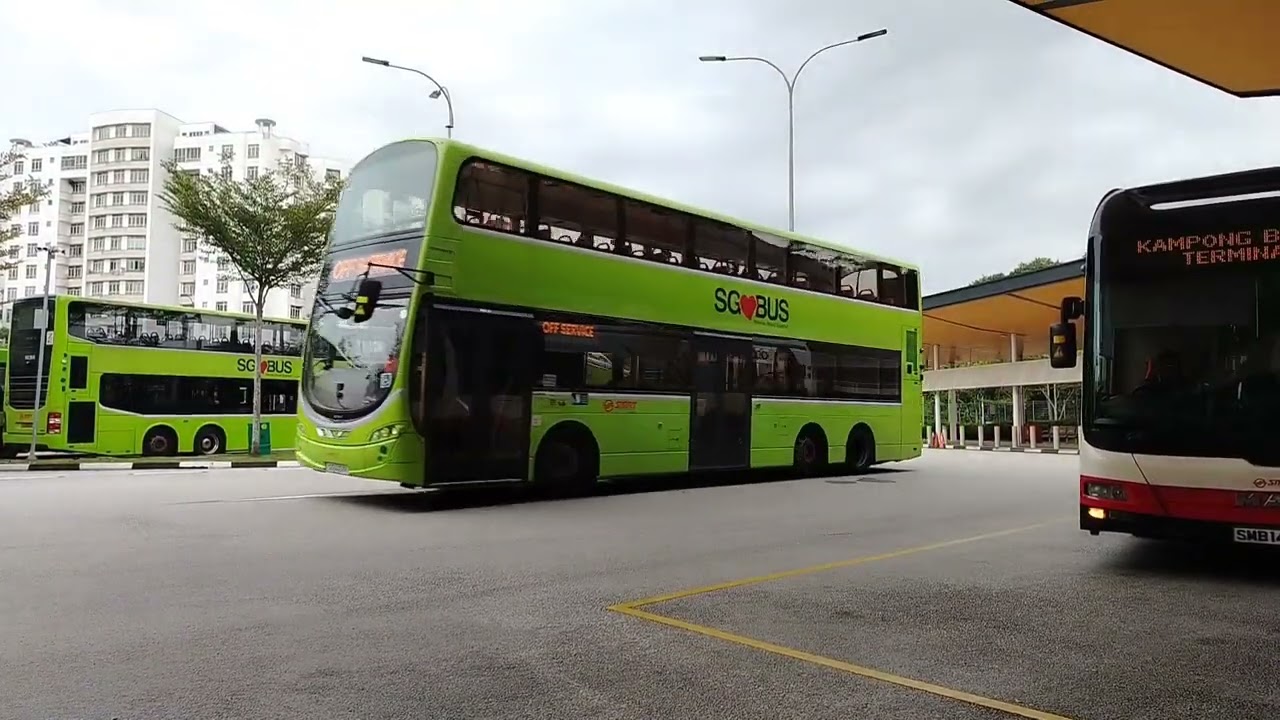 Bus spotting at cck interchange August 2025 PART 2