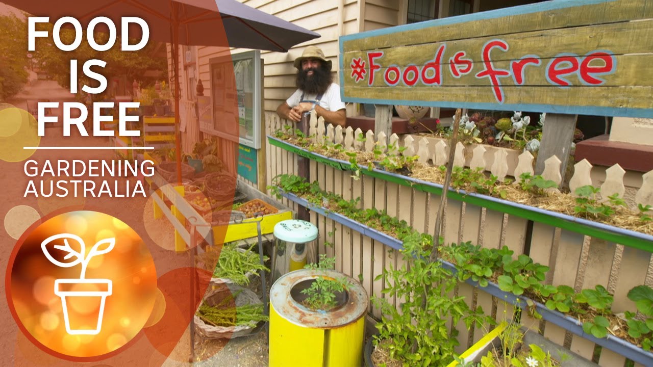 Food is free | Growing fruit and vegies | Gardening Australia