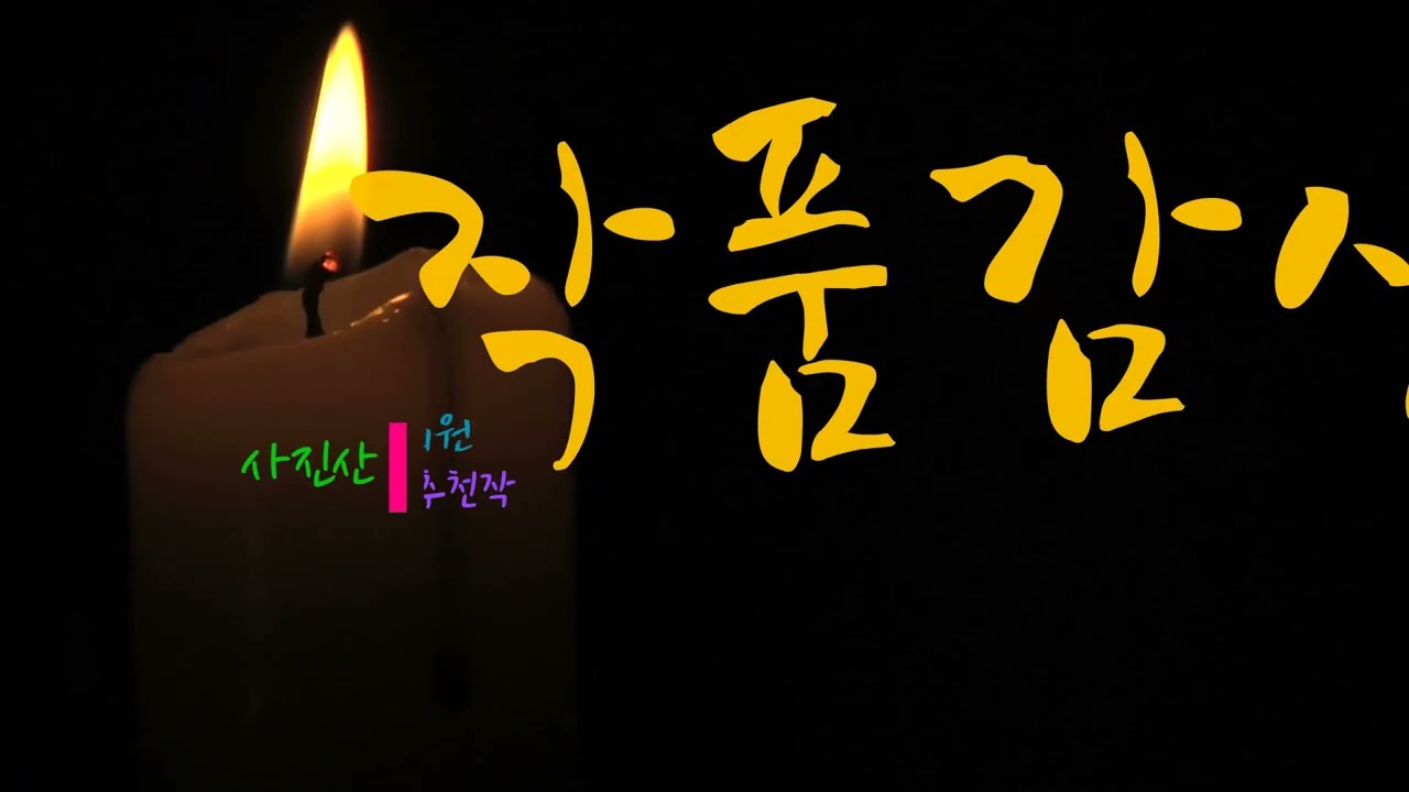 사진산책