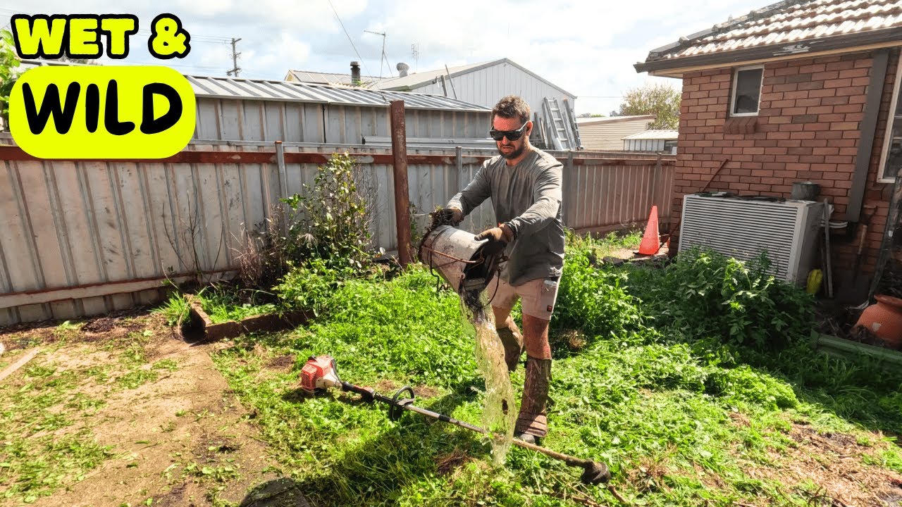Post-Rain Lawn Rescue, Overgrown Yard Reveal