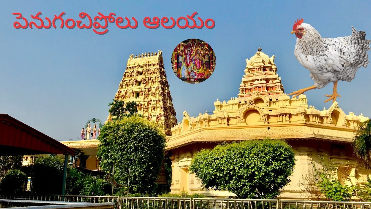 Thirupathamma talli | penuganchiprolu | temple | first time visiting @kirakbhanu