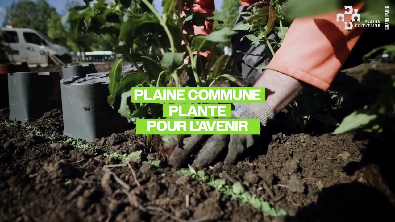 Plaine Commune cultive l'avenir : Les Jeux en Fleurs