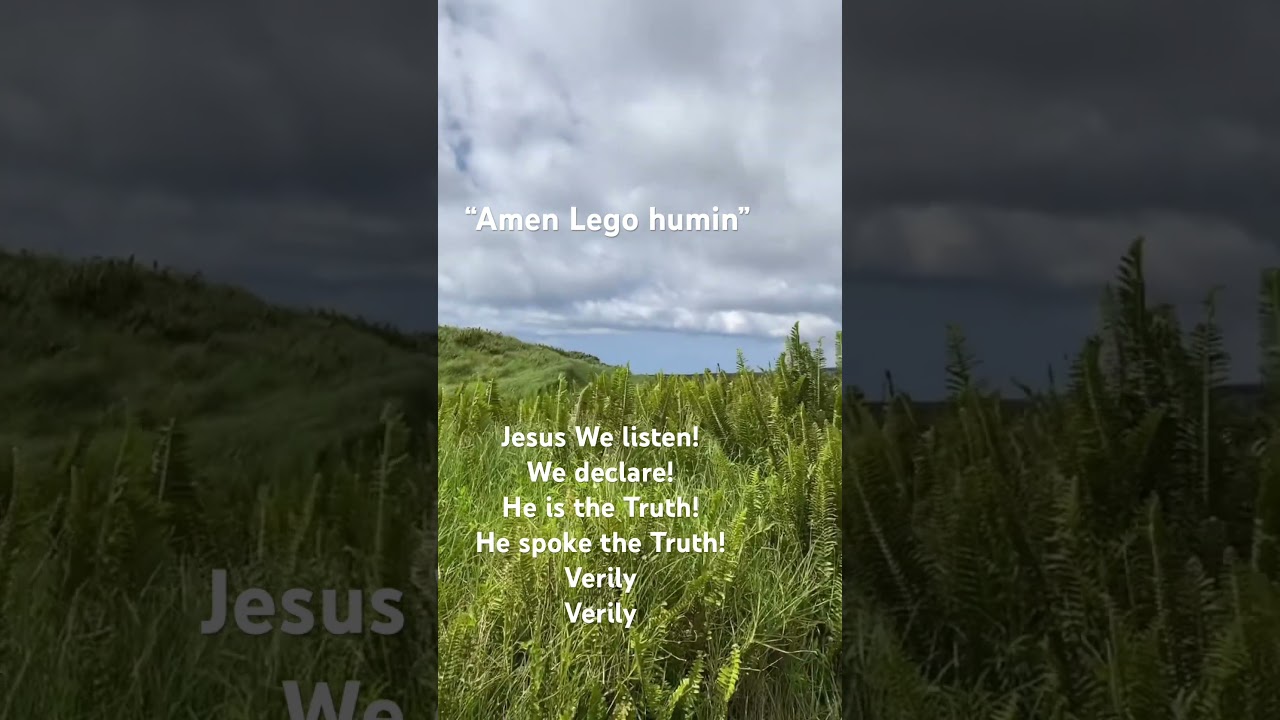 Jesus said “truly I say to you” “amen lego humin” 